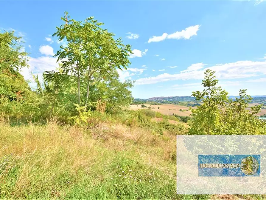 Immagine 29 di Terreno edificabile in vendita  a Treia