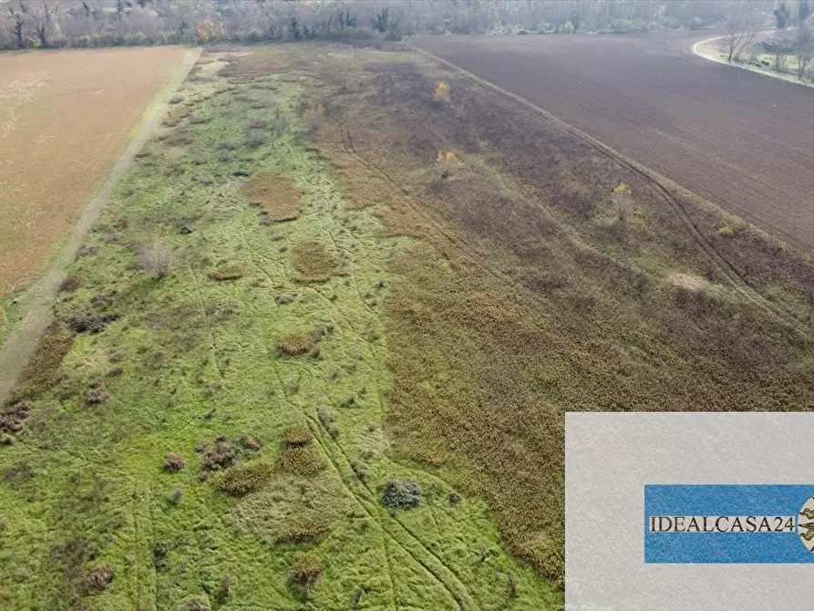 Immagine 3 di Terreno agricolo in vendita  in Treia C.da Chiaravalle snc a Treia