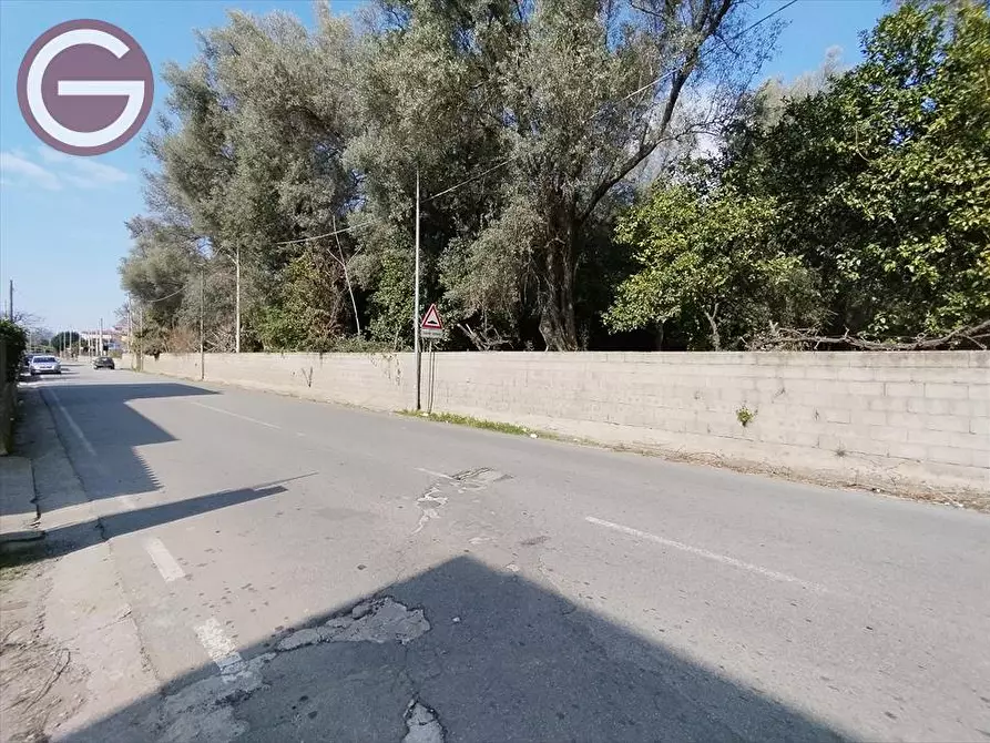 Immagine 3 di Terreno edificabile in vendita  a Taurianova