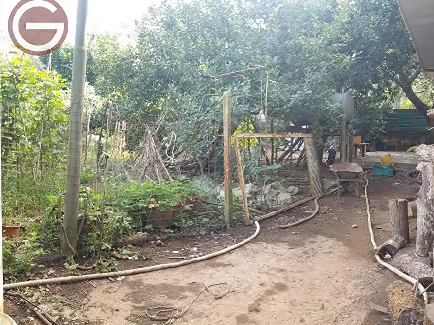 Immagine 7 di Casa indipendente in vendita  a Taurianova