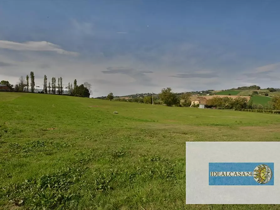 Immagine 17 di Terreno agricolo in vendita  in Corridonia Contrada Ponte tavola a Corridonia