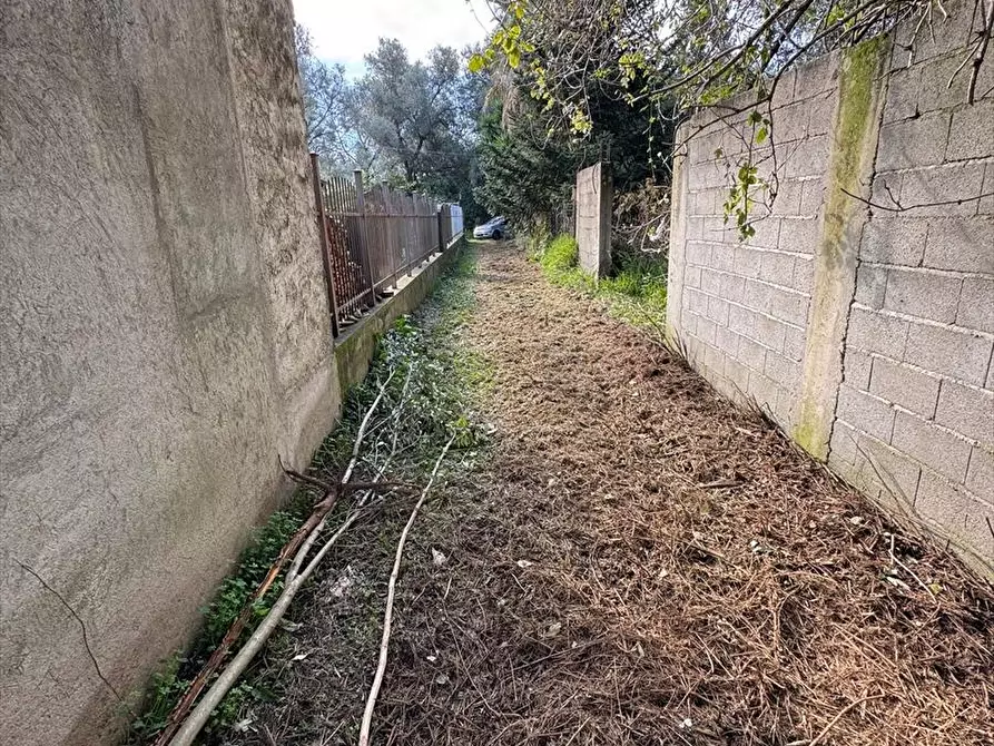 Immagine 8 di Terreno agricolo in vendita  a Taurianova
