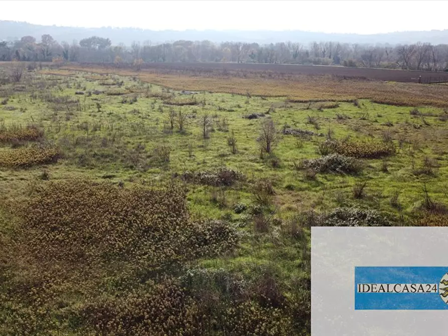 Immagine 24 di Terreno agricolo in vendita  in Treia C.da Chiaravalle snc a Treia