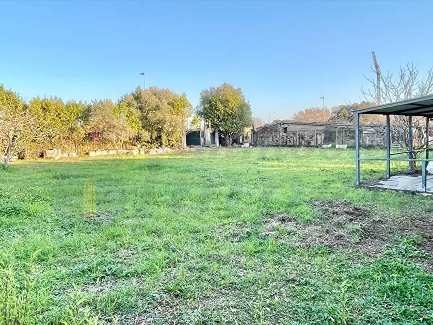 Immagine 4 di Terreno agricolo in vendita  in Via Sant'Andrea Apostolo a Pomezia