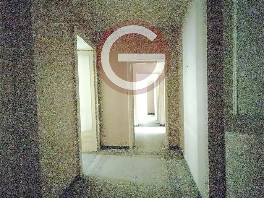 Immagine 3 di Appartamento in vendita  a Cittanova