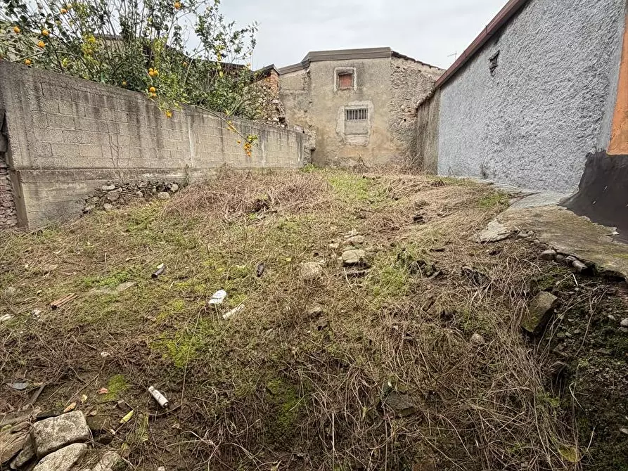 Immagine 8 di Rustico / casale in vendita  a Taurianova