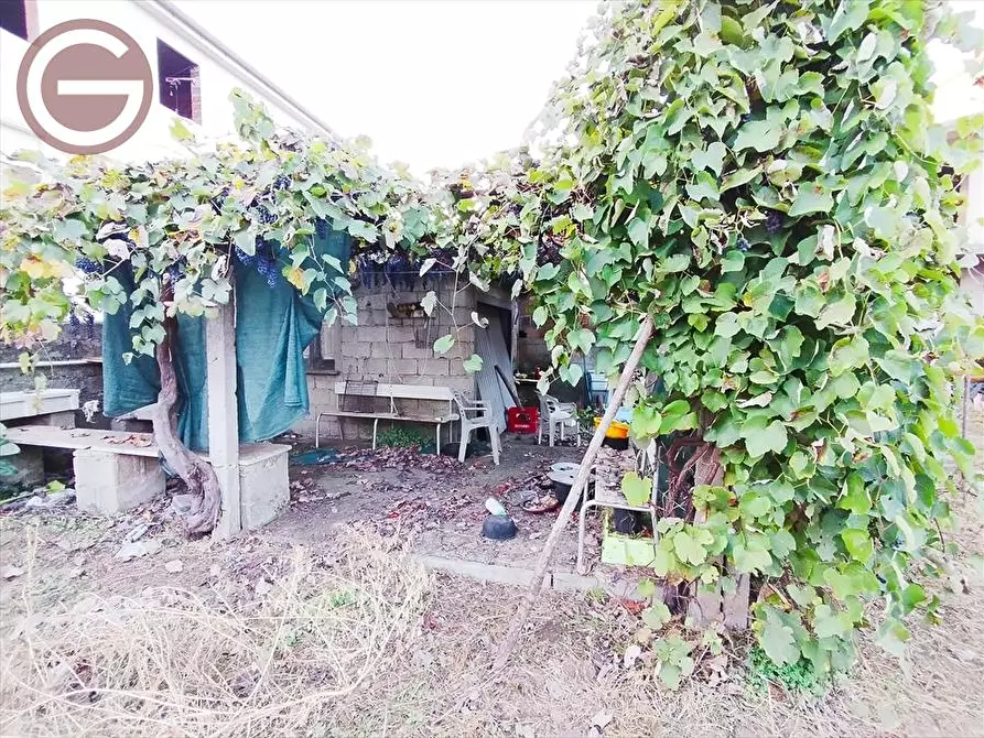 Immagine 9 di Terreno edificabile in vendita  a Taurianova