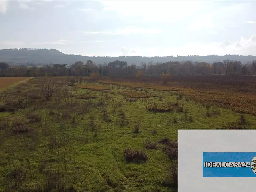 Immagine 23 di Terreno agricolo in vendita  in Treia C.da Chiaravalle snc a Treia