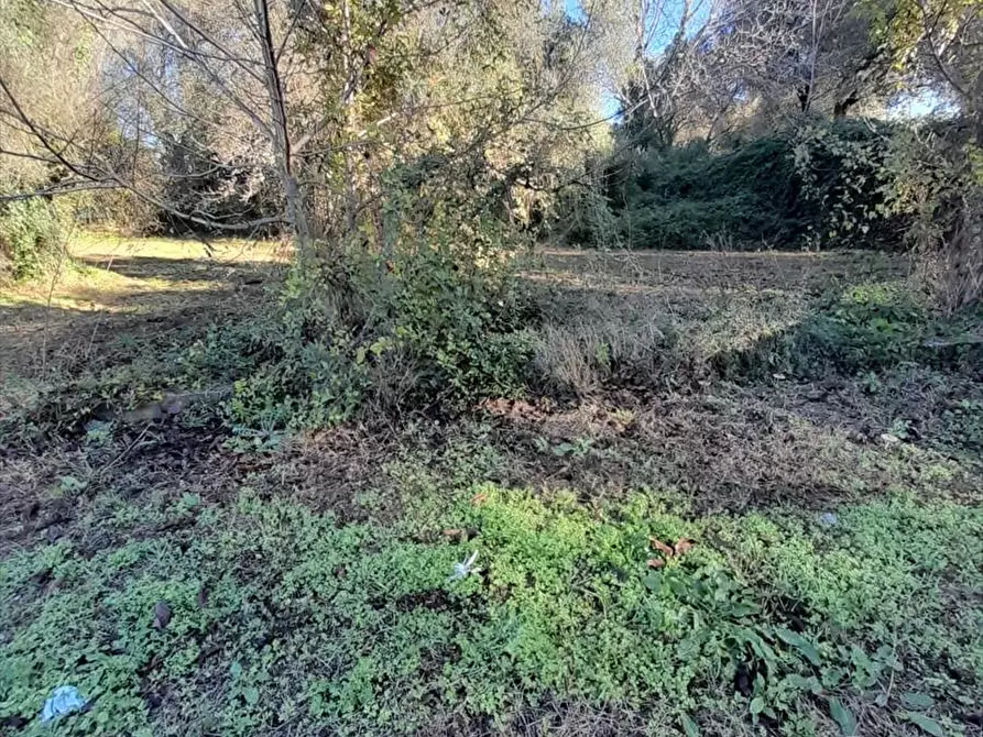 Immagine 2 di Terreno edificabile in vendita  a Taurianova