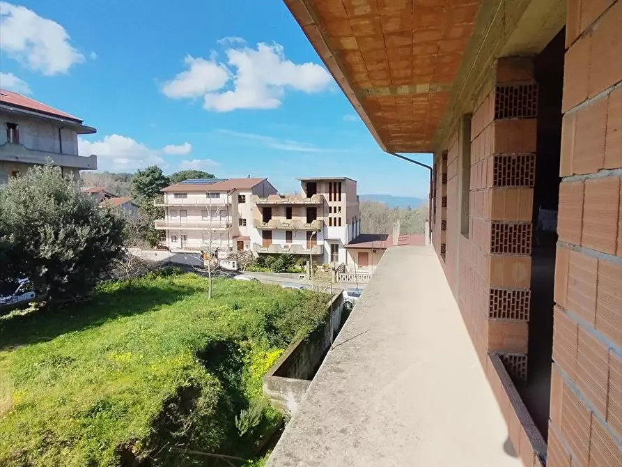 Immagine 23 di Casa indipendente in vendita  a Molochio