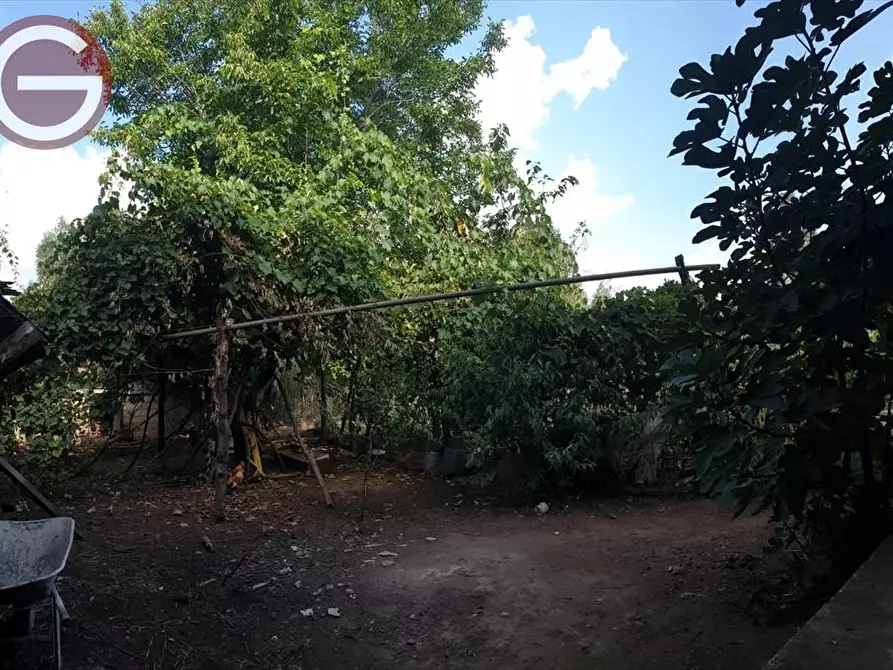 Immagine 8 di Casa indipendente in vendita  a Taurianova