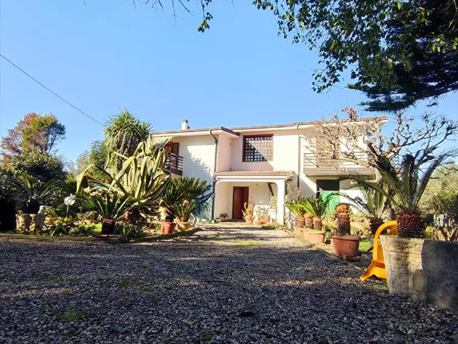 Immagine 8 di Casa indipendente in vendita  a Taurianova