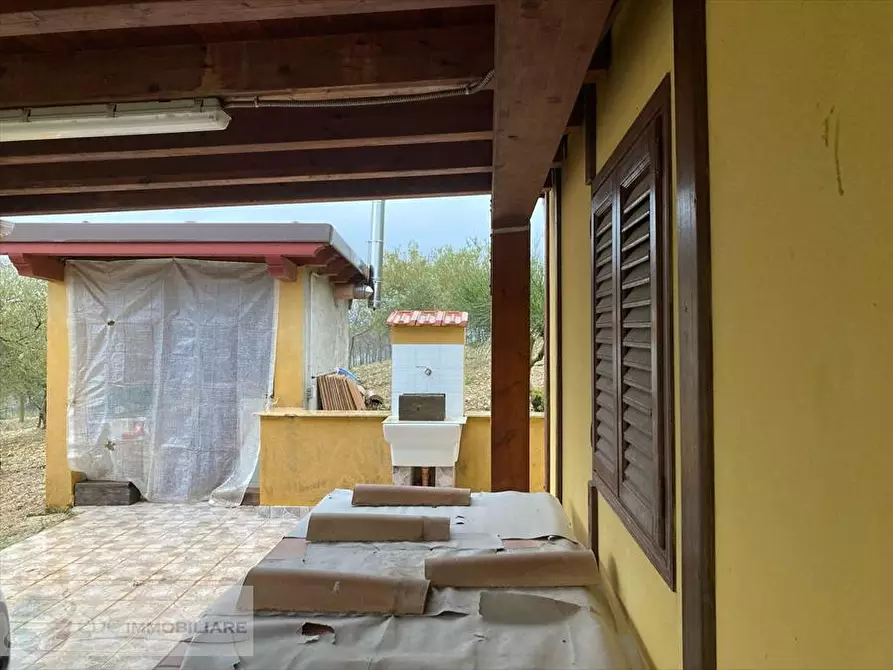 Immagine 5 di Terreno agricolo in vendita  in ss 118  a Prizzi