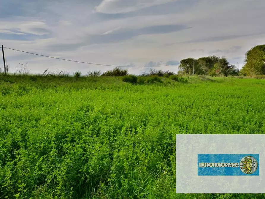 Immagine 25 di Terreno agricolo in vendita  in Corridonia Contrada Ponte tavola a Corridonia