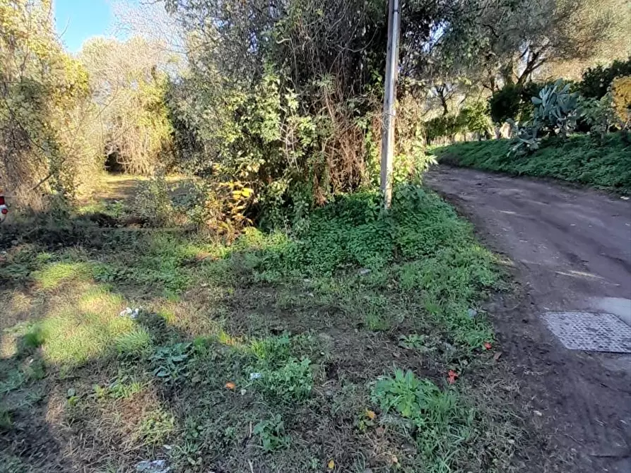 Immagine 4 di Terreno edificabile in vendita  a Taurianova