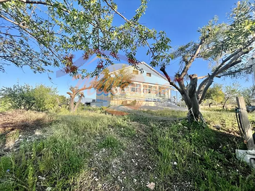 Immagine 3 di Villa in vendita  in VIA BRANCATI a Siracusa