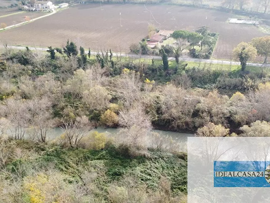Immagine 8 di Terreno agricolo in vendita  in Treia C.da Chiaravalle snc a Treia