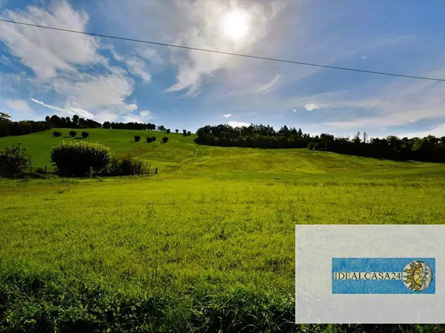 Immagine 2 di Terreno agricolo in vendita  in Corridonia Contrada Ponte tavola a Corridonia