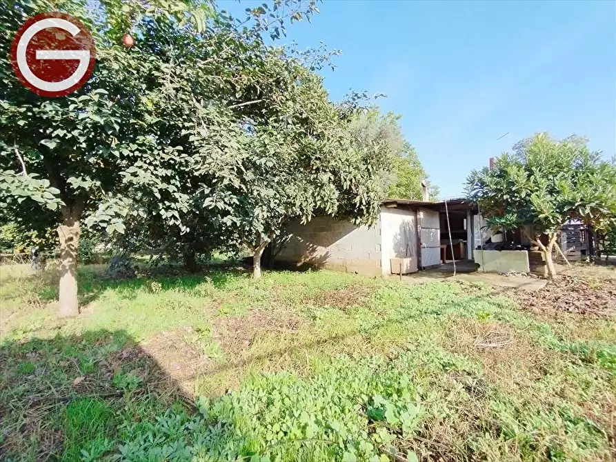 Immagine 14 di Casa indipendente in vendita  a Taurianova