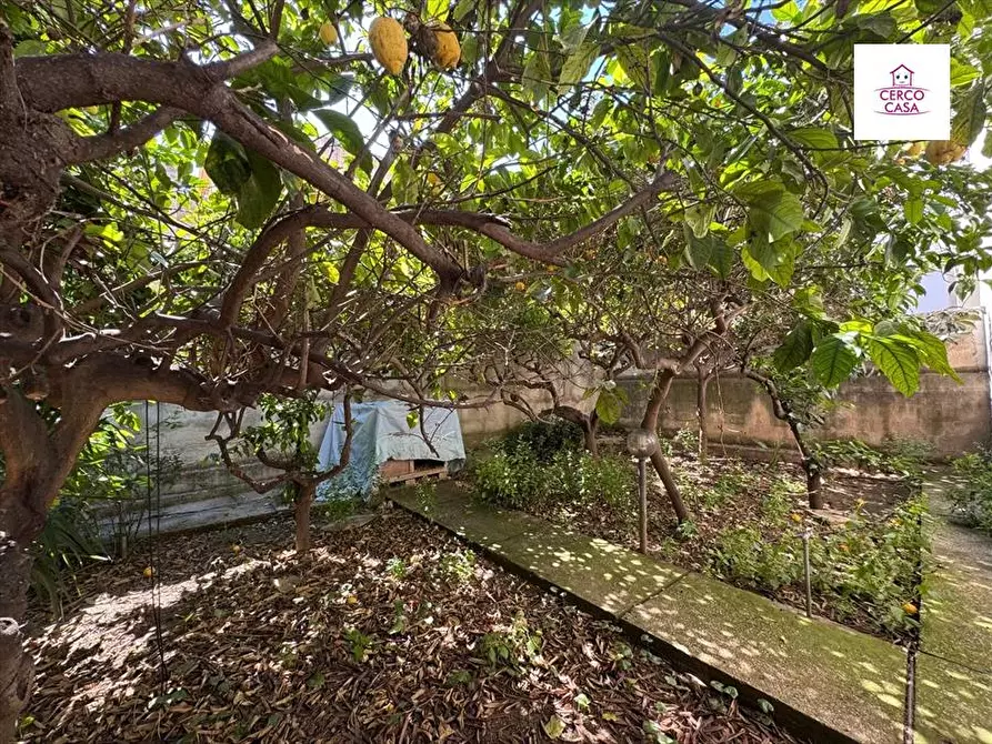 Immagine 25 di Appartamento in vendita  in via casabianca a Trapani