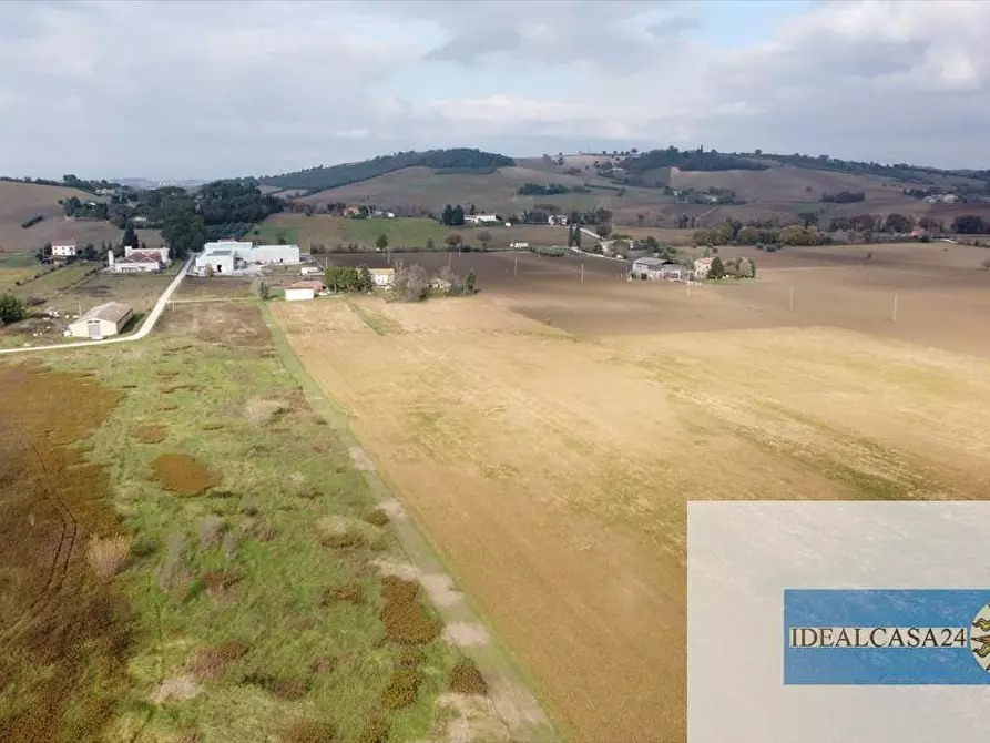 Immagine 16 di Terreno agricolo in vendita  in Treia C.da Chiaravalle snc a Treia