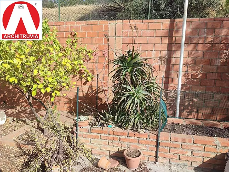 Immagine 5 di Terreno agricolo in vendita  in via due fontane a Caltanissetta