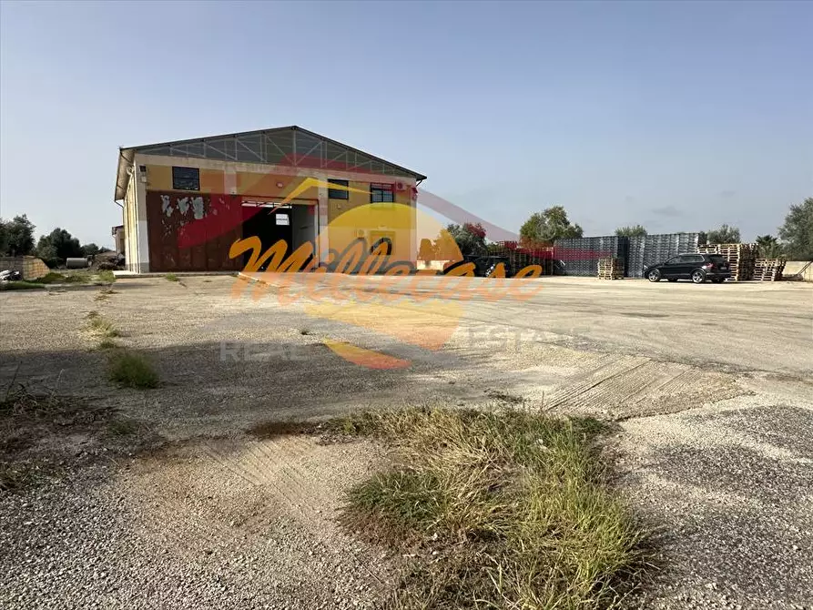 Immagine 11 di Capannone industriale in vendita  in via Elorina a Siracusa
