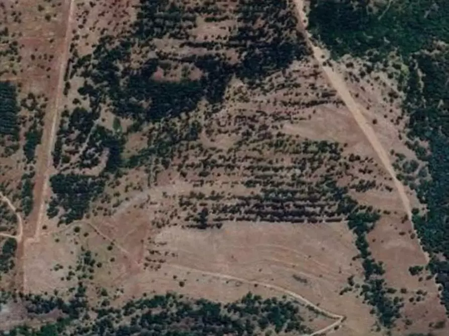 Immagine 2 di Terreno agricolo in vendita  in conrtrada Mannifarina a Castronovo Di Sicilia