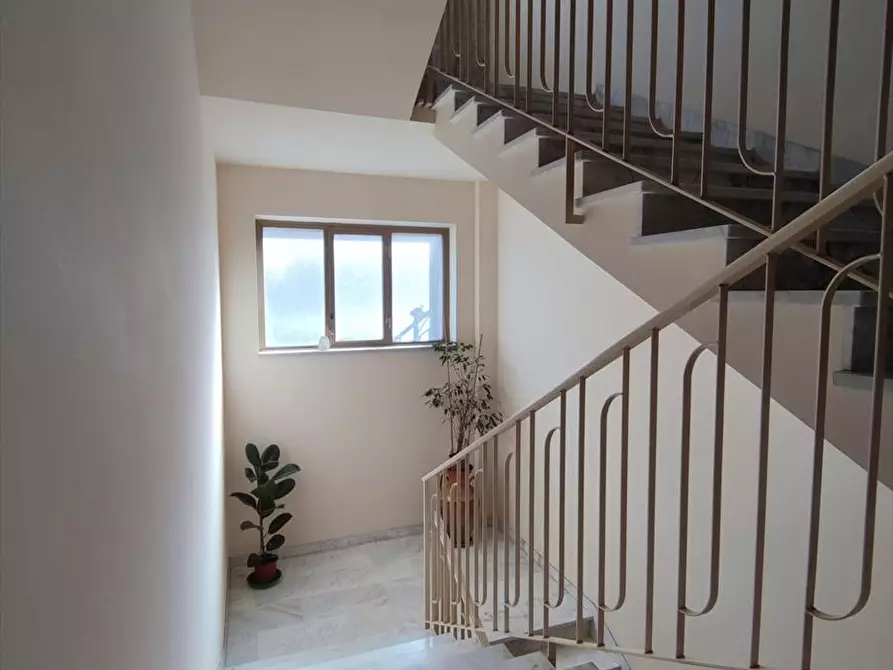 Immagine 9 di Appartamento in vendita  a Taurianova