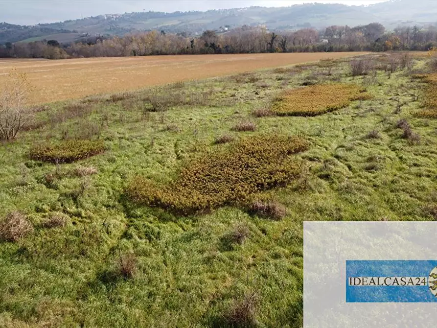 Immagine 28 di Terreno agricolo in vendita  in Treia C.da Chiaravalle snc a Treia