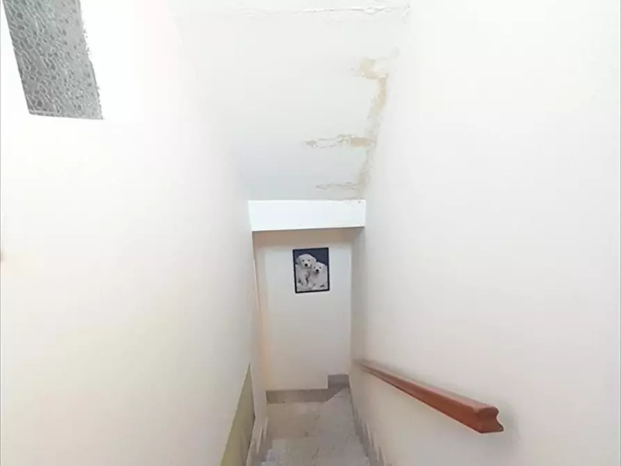 Immagine 8 di Casa indipendente in vendita  a Cittanova