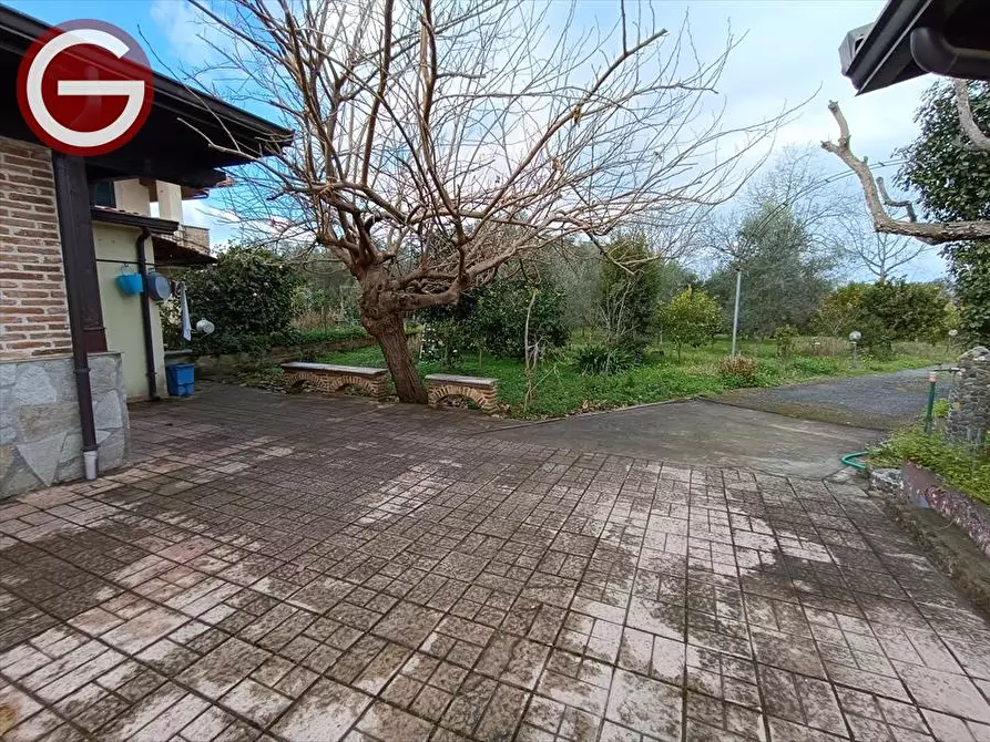 Immagine 10 di Abitazione tipica in affitto  a Taurianova