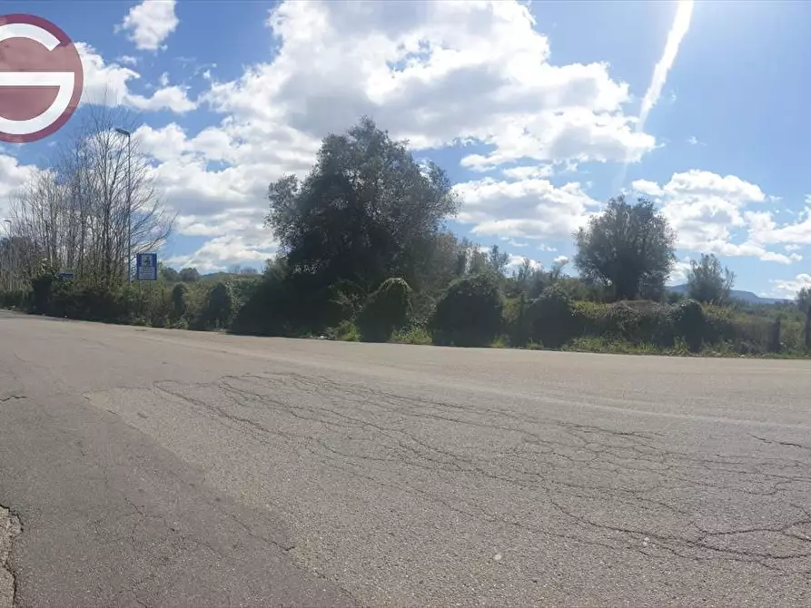 Immagine 4 di Terreno agricolo in vendita  a Taurianova
