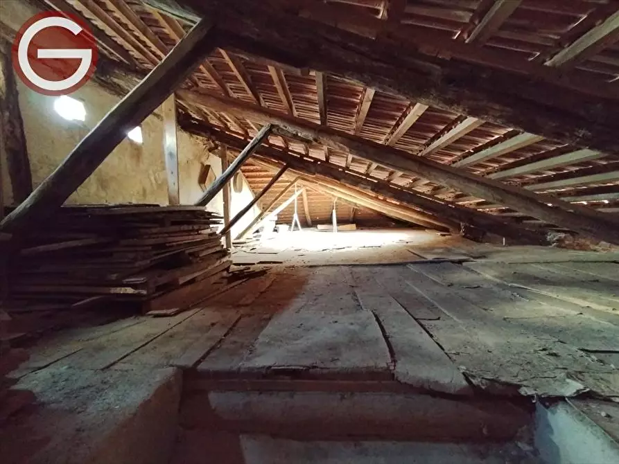 Immagine 5 di Casa indipendente in vendita  a Cittanova