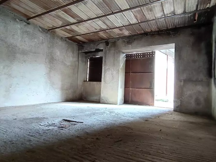 Immagine 11 di Appartamento in vendita  a Cittanova