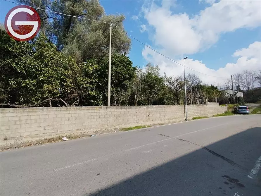 Immagine 2 di Terreno edificabile in vendita  a Taurianova
