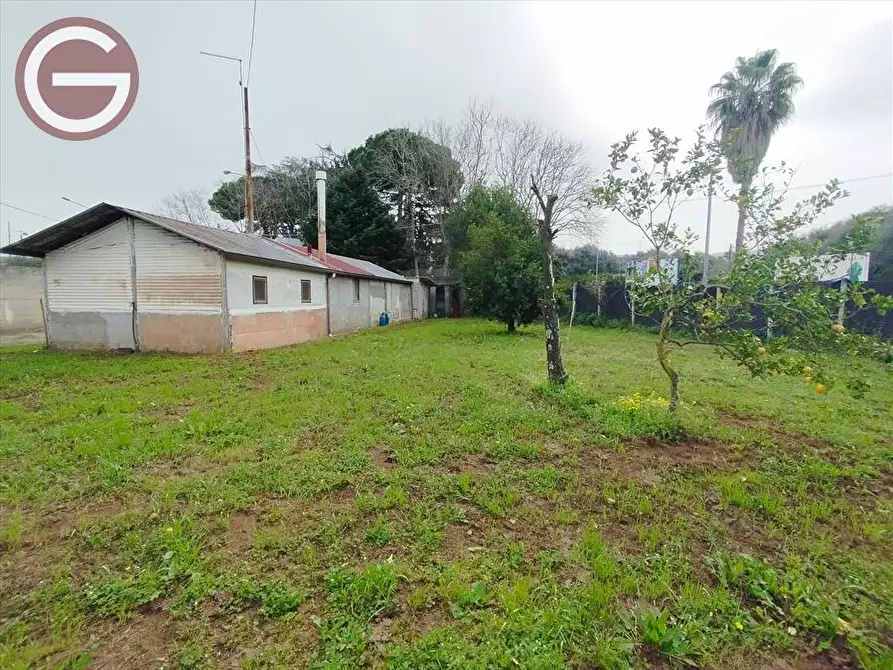 Immagine 2 di Terreno edificabile in vendita  a Taurianova