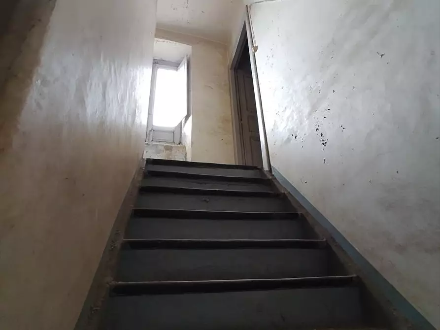 Immagine 4 di Casa indipendente in vendita  a Cittanova