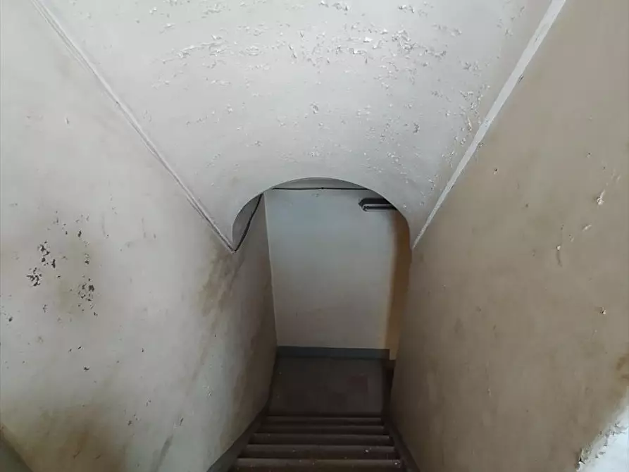 Immagine 8 di Casa indipendente in vendita  a Cittanova