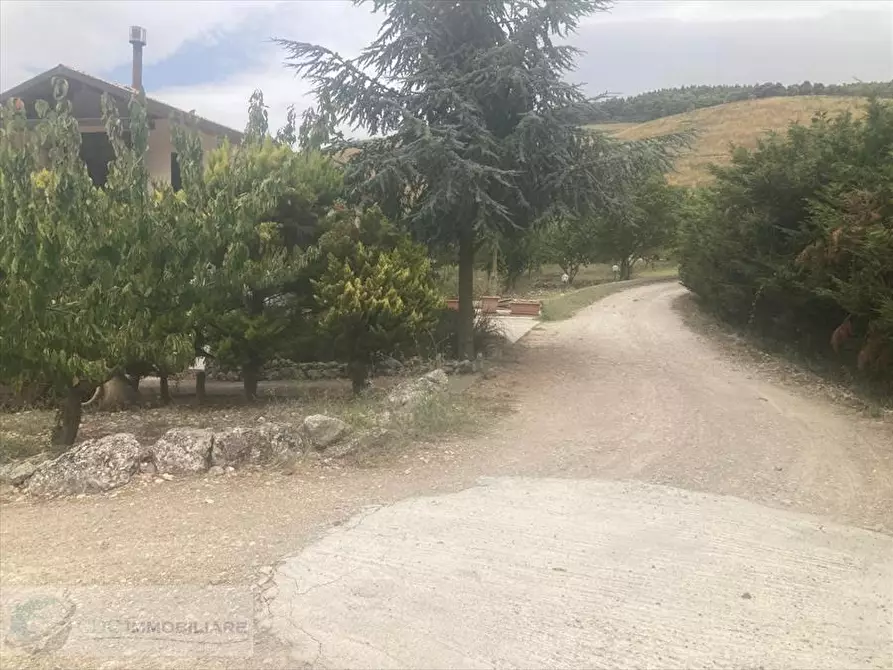 Immagine 2 di Villa in vendita  in contrada Margimuto a Santo Stefano Quisquina