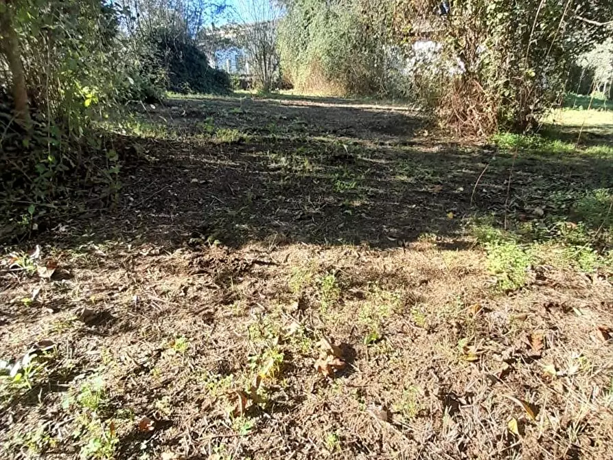 Immagine 7 di Terreno edificabile in vendita  a Taurianova