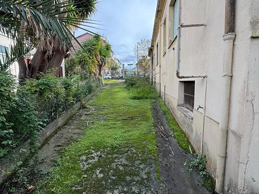 Immagine 3 di Villa in vendita  a Polistena