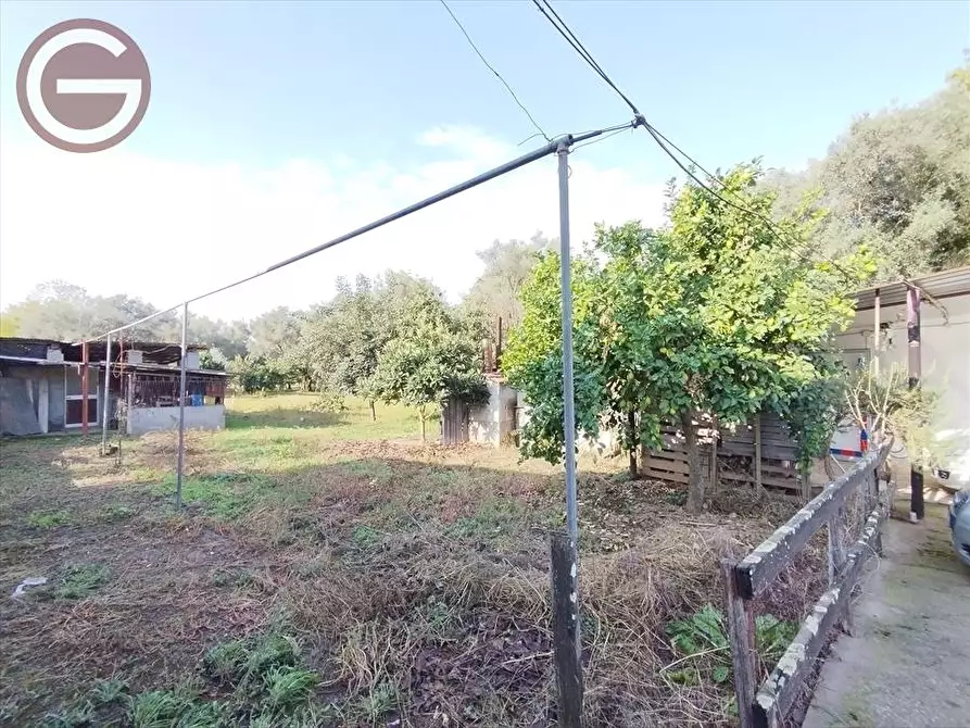 Immagine 15 di Casa indipendente in vendita  a Taurianova