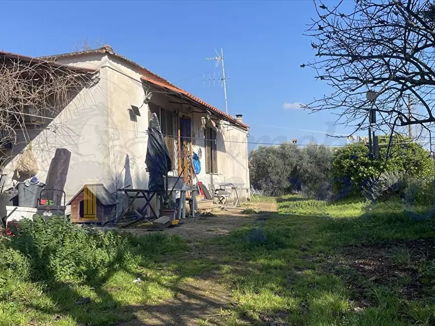 Immagine 3 di Villa in vendita  in Via Pedica 79 a Genzano Di Roma