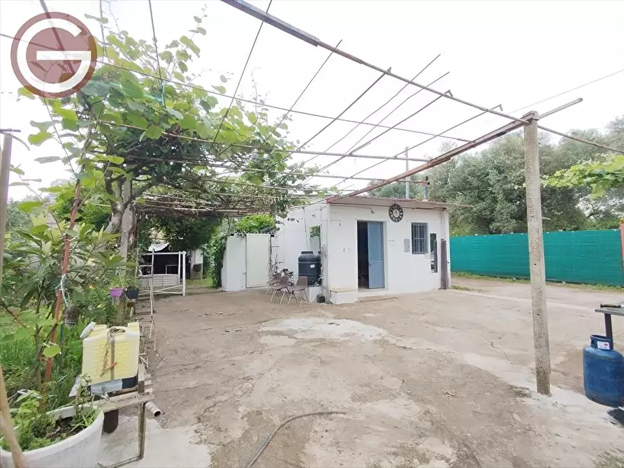 Immagine 1 di Terreno agricolo in vendita  a Taurianova