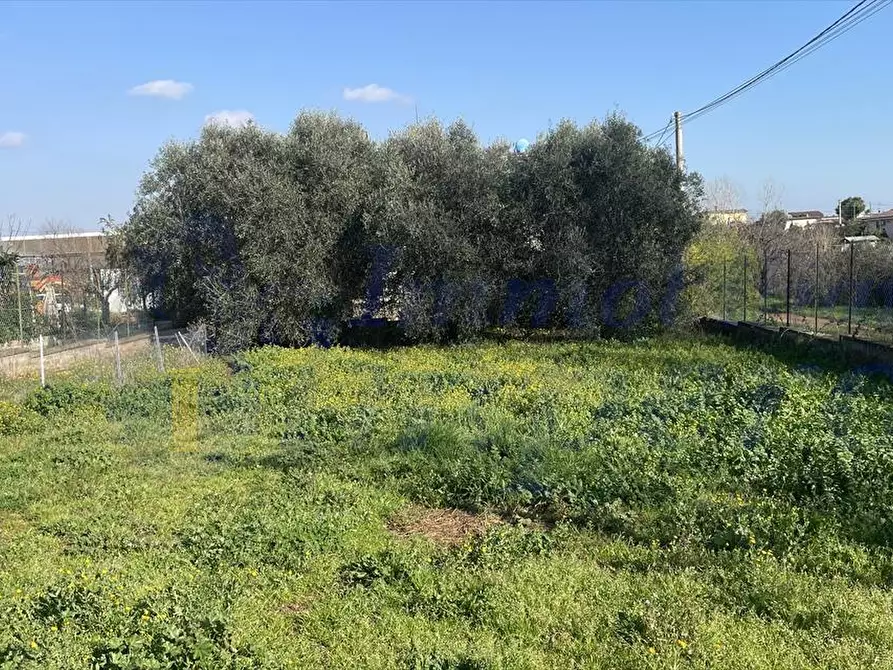 Immagine 2 di Villa in vendita  in Via Pedica 79 a Genzano Di Roma