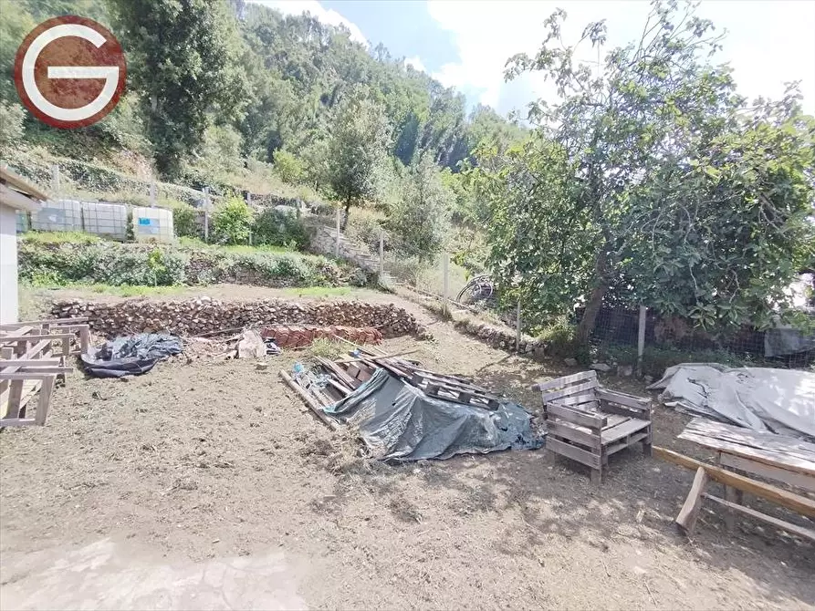 Immagine 7 di Terreno agricolo in vendita  a Cittanova