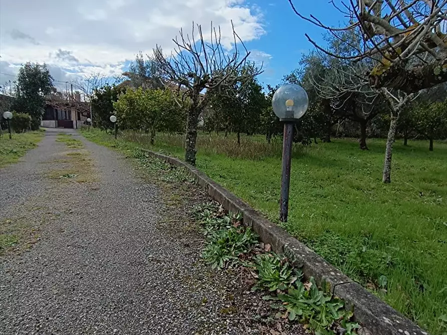 Immagine 16 di Abitazione tipica in affitto  a Taurianova