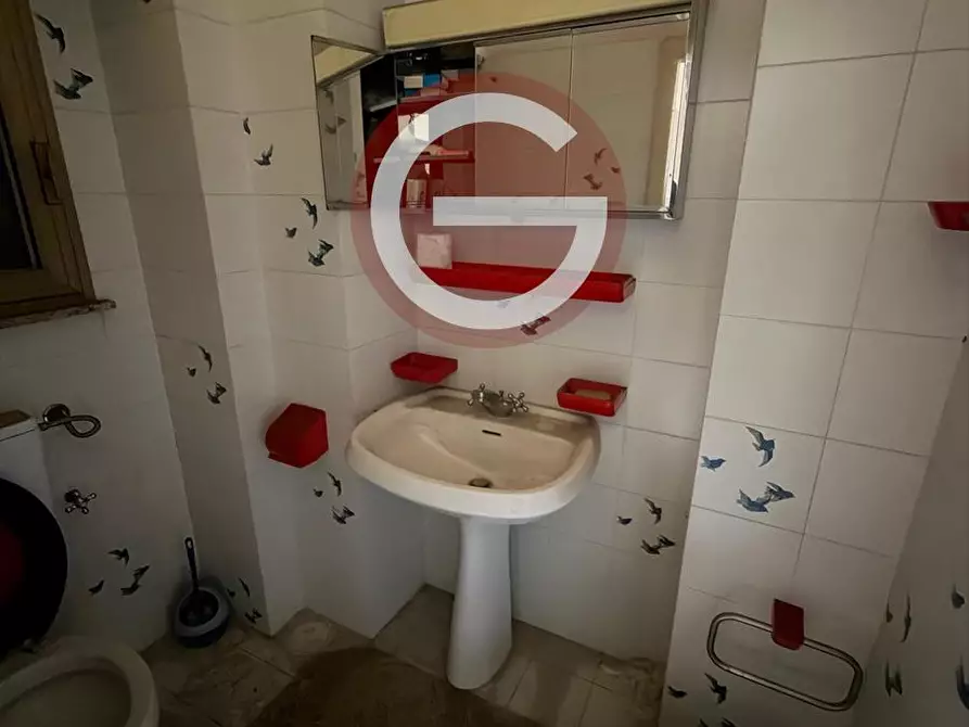 Immagine 9 di Casa indipendente in vendita  a Cittanova