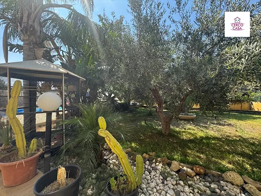 Immagine 18 di Villa in vendita  in via salinagrande a Trapani